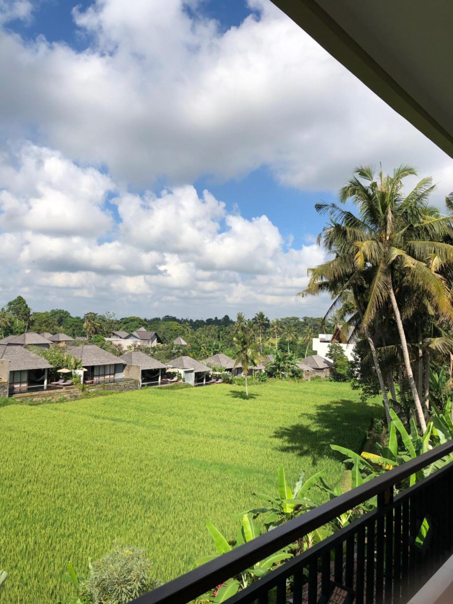 Mira Family Cottages Ubud Exterior foto